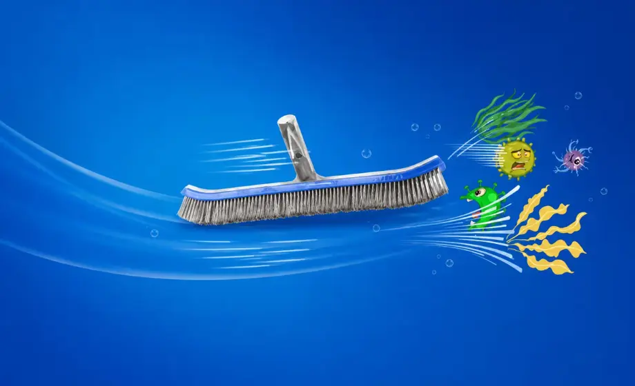 Cepillo antialgas para piscinas